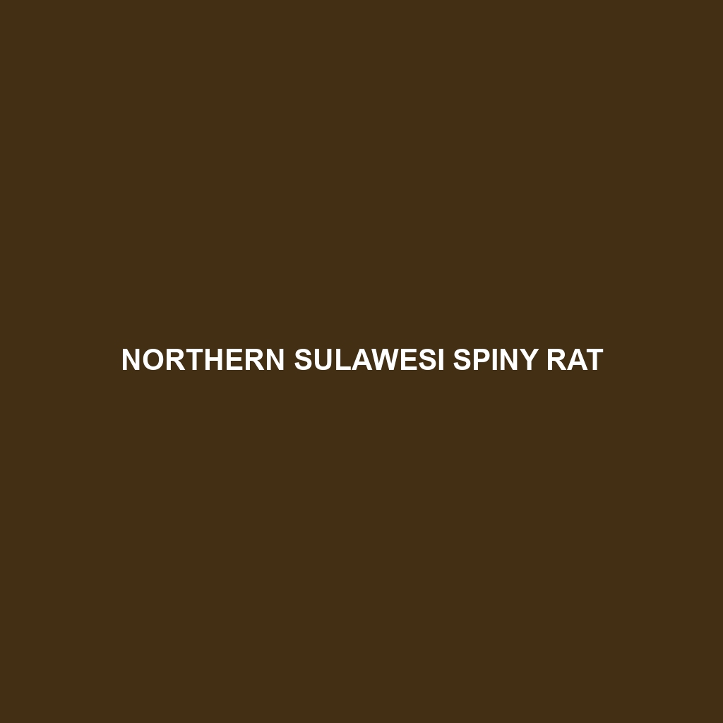 Northern Sulawesi Spiny Rat