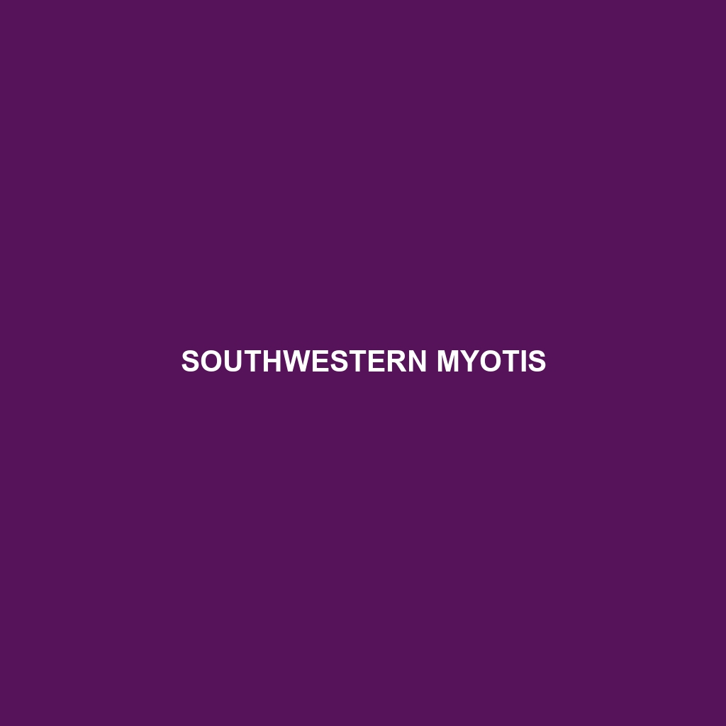 Southwestern Myotis