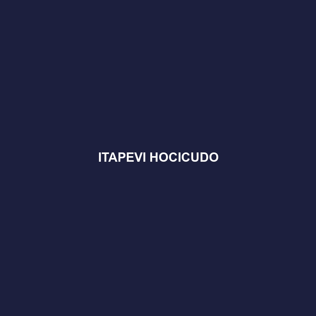 Itapevi Hocicudo