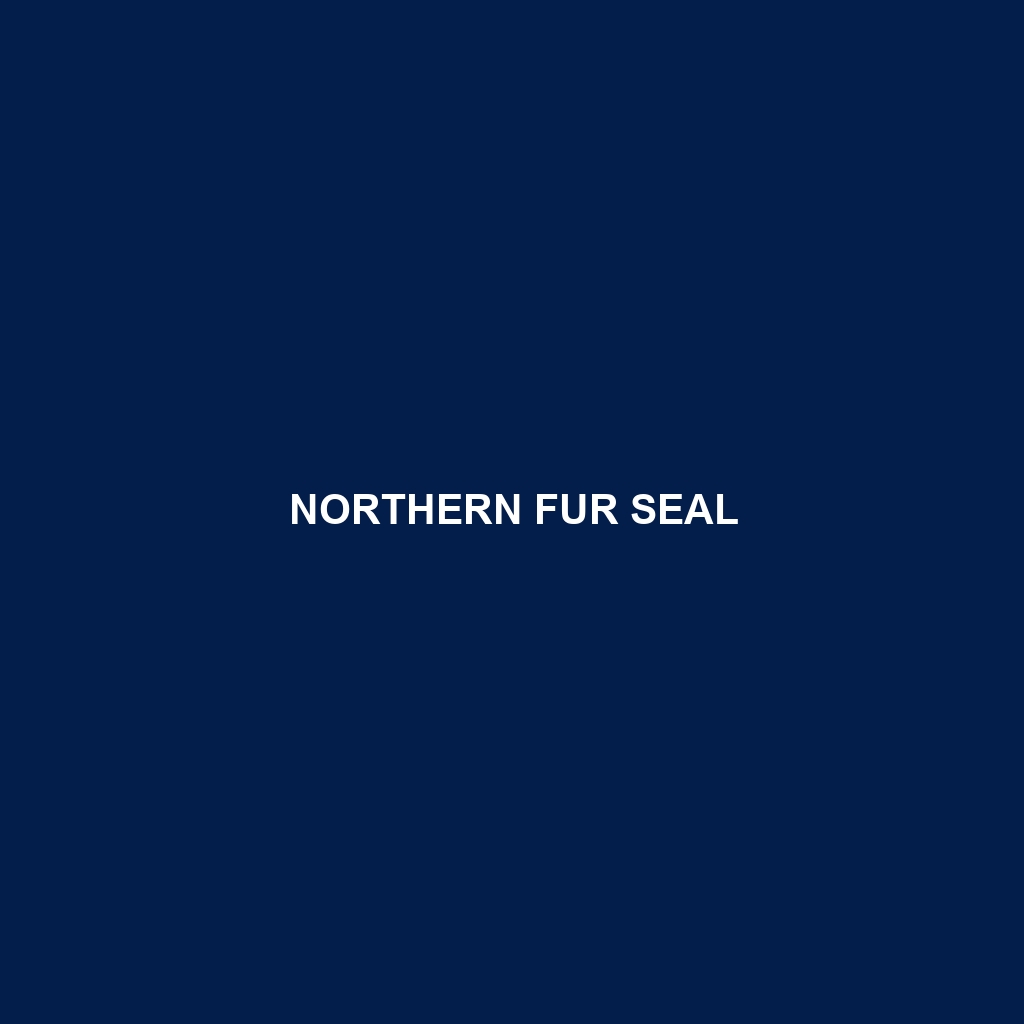 Northern Fur Seal