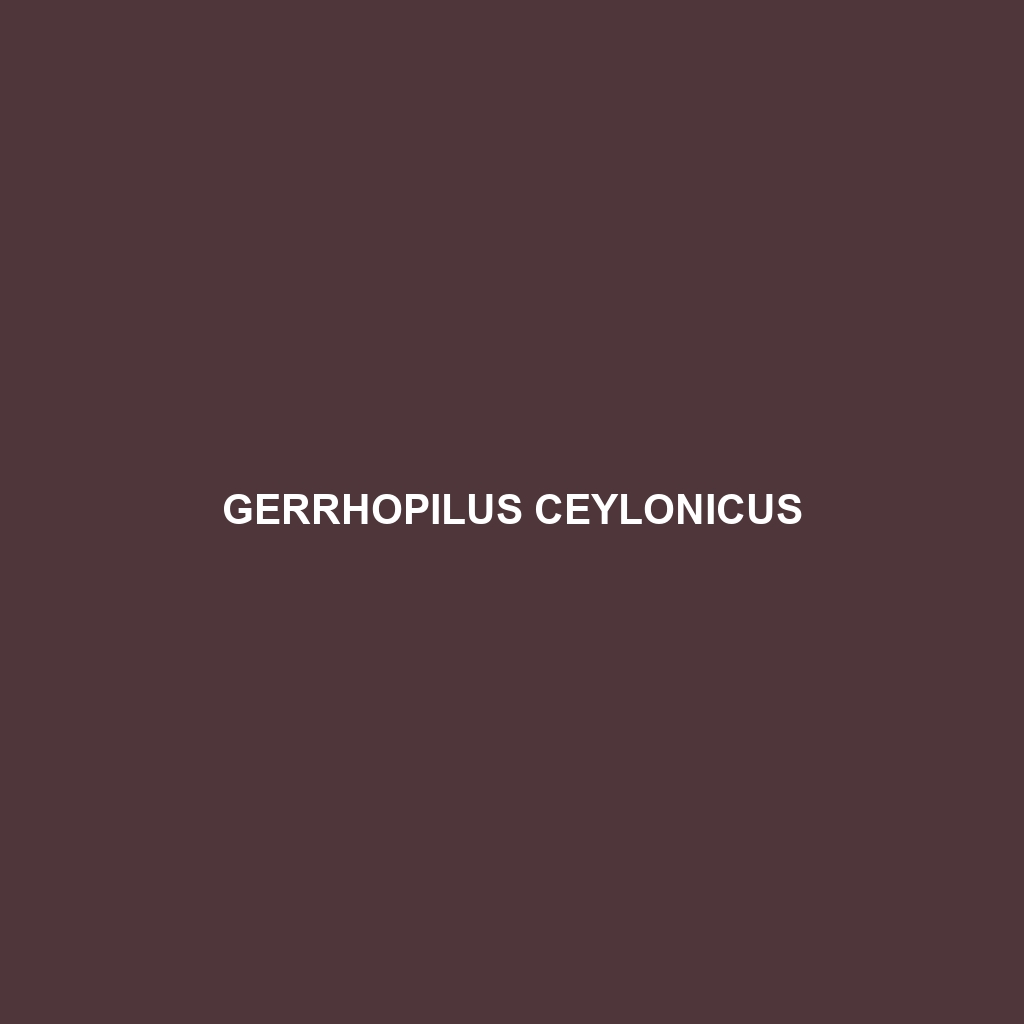 Gerrhopilus ceylonicus