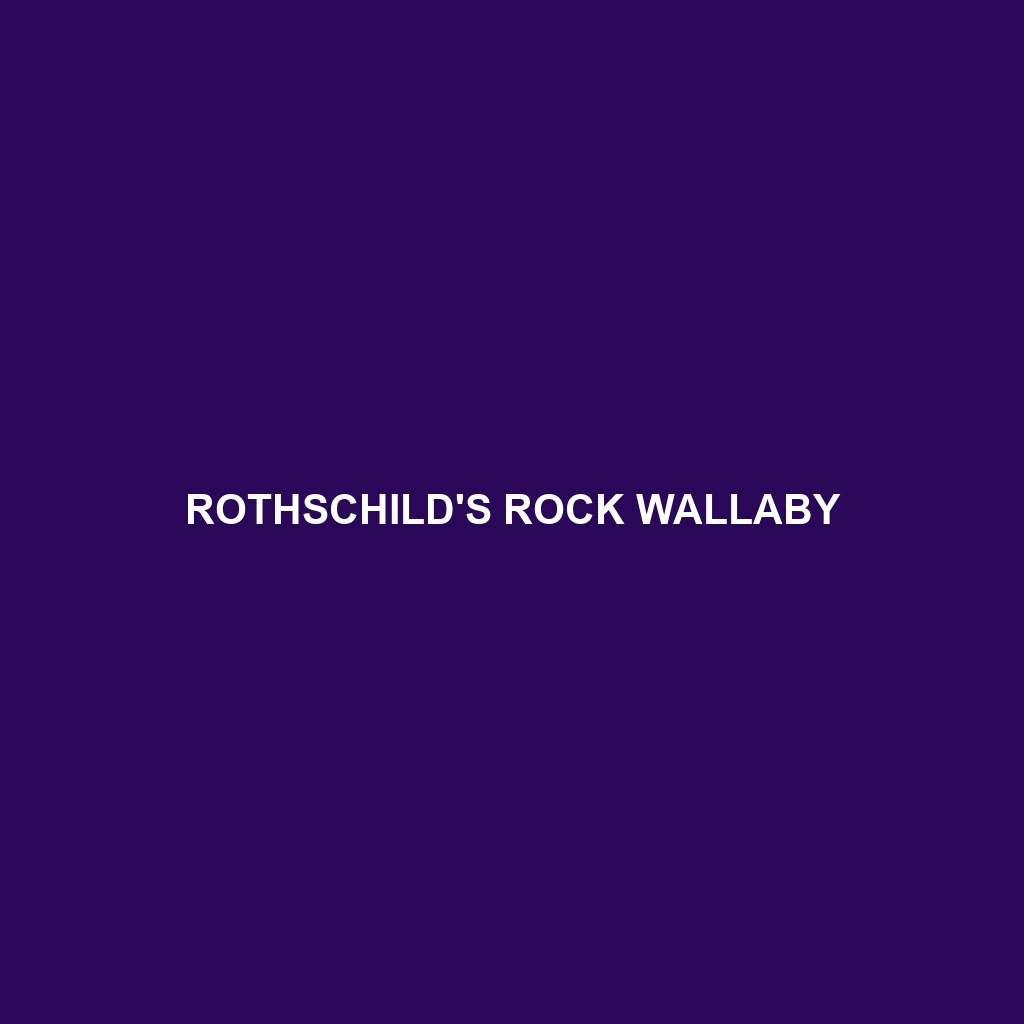 Rothschild's Rock Wallaby