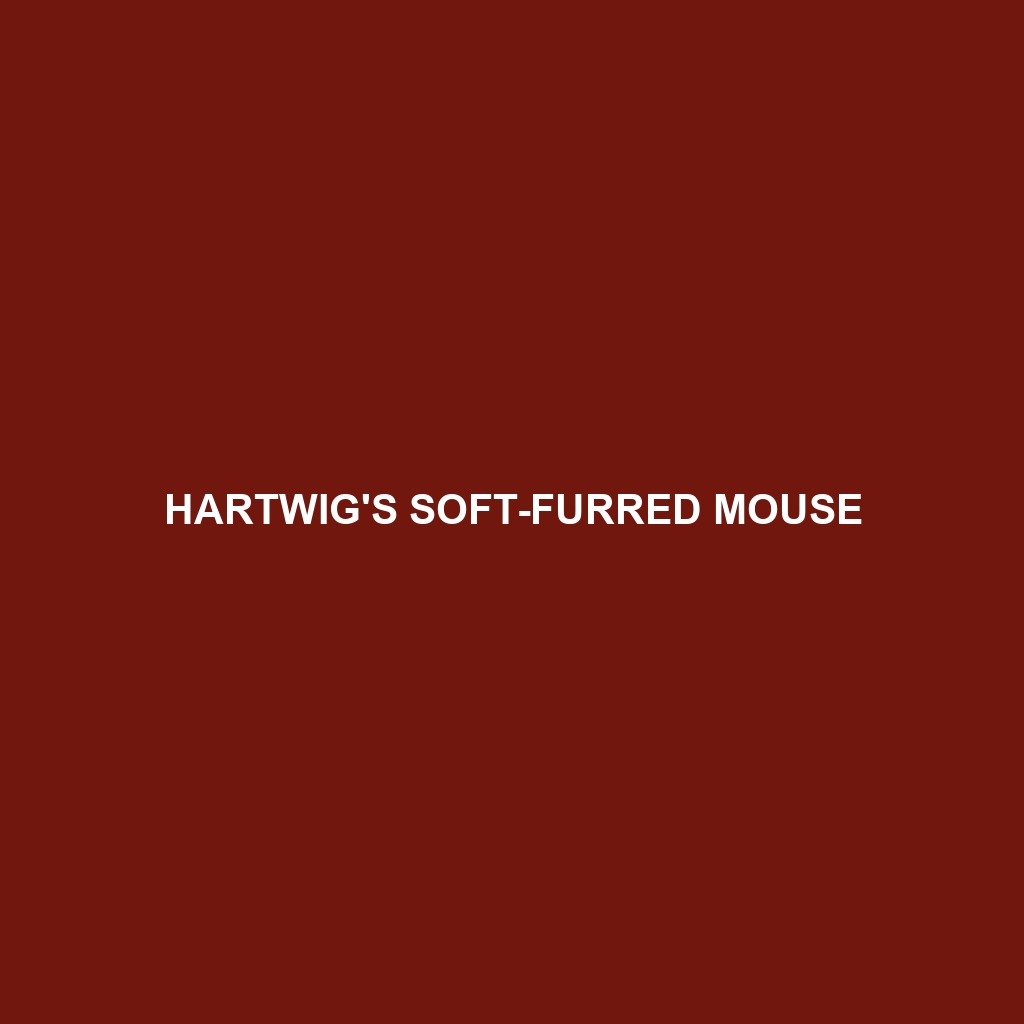 Hartwig's Soft-furred Mouse