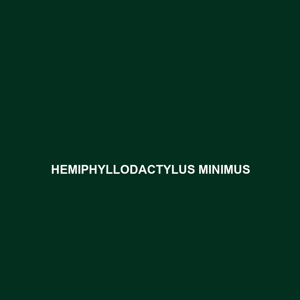 Hemiphyllodactylus minimus