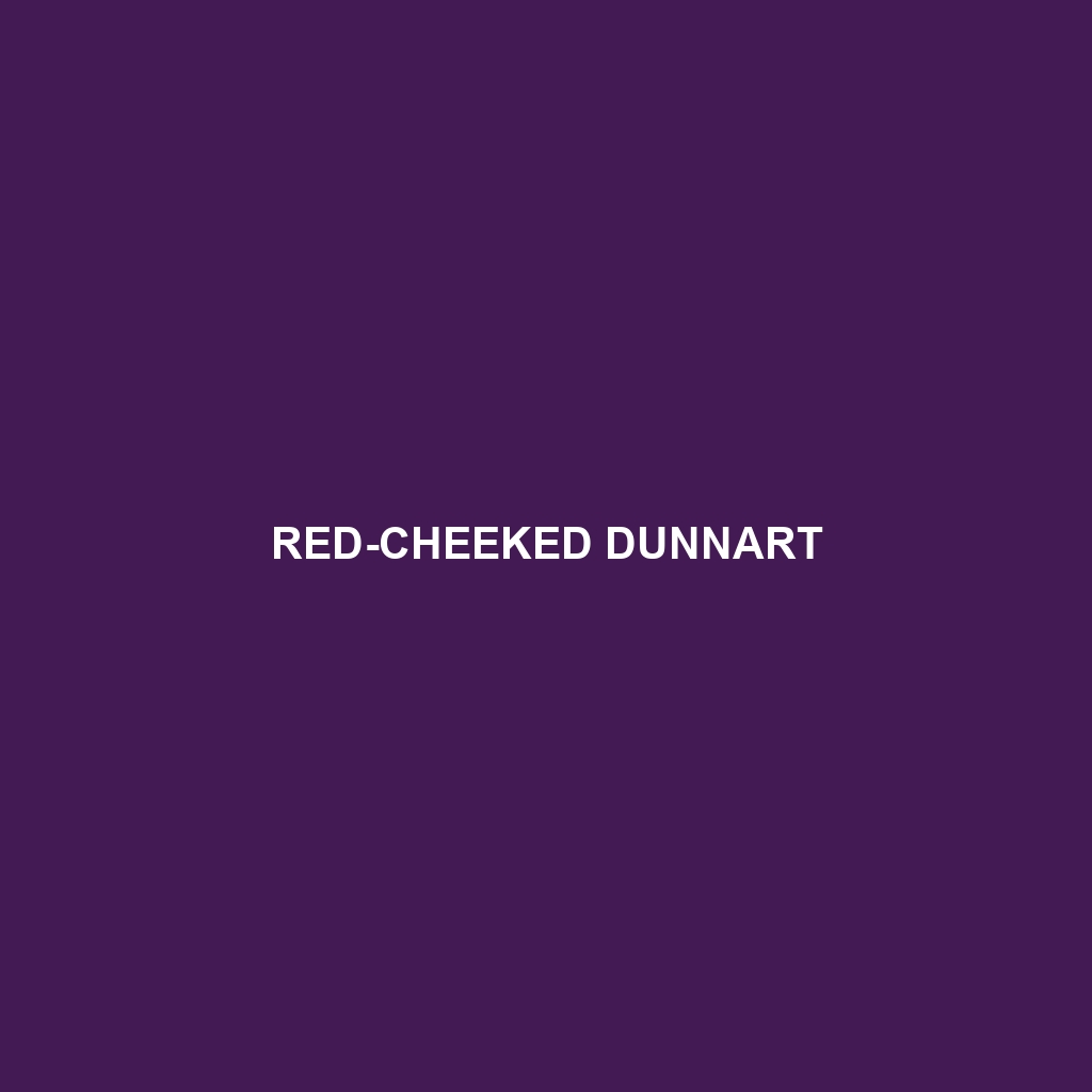 Red-cheeked Dunnart