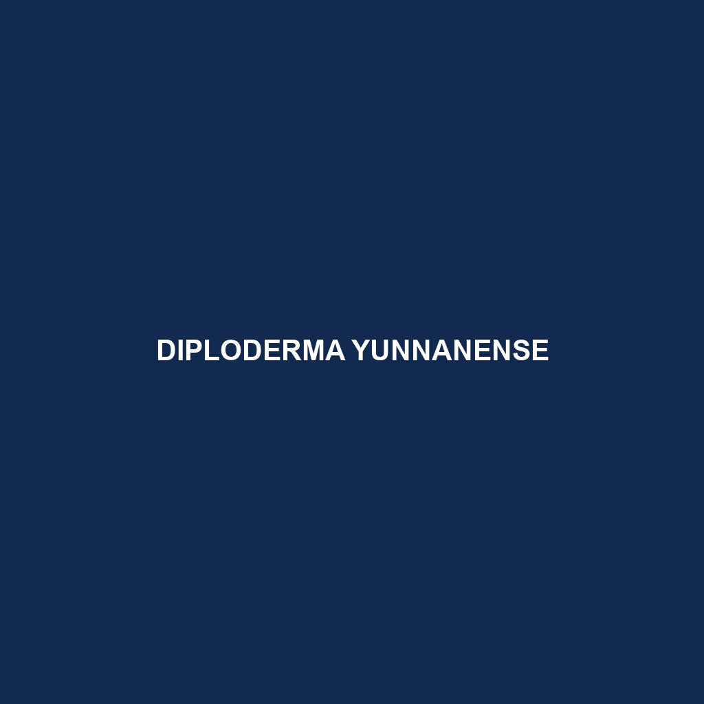 Diploderma yunnanense