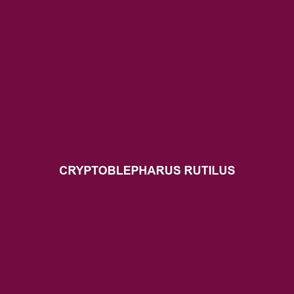 Cryptoblepharus rutilus