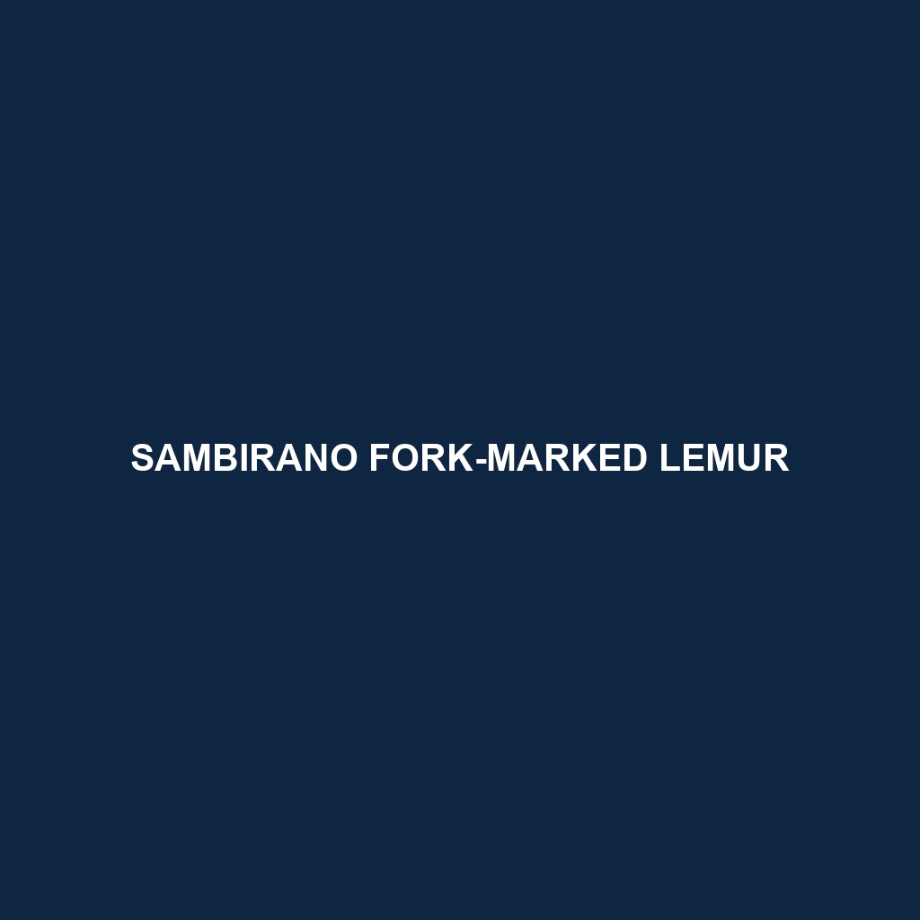 Sambirano Fork-marked Lemur