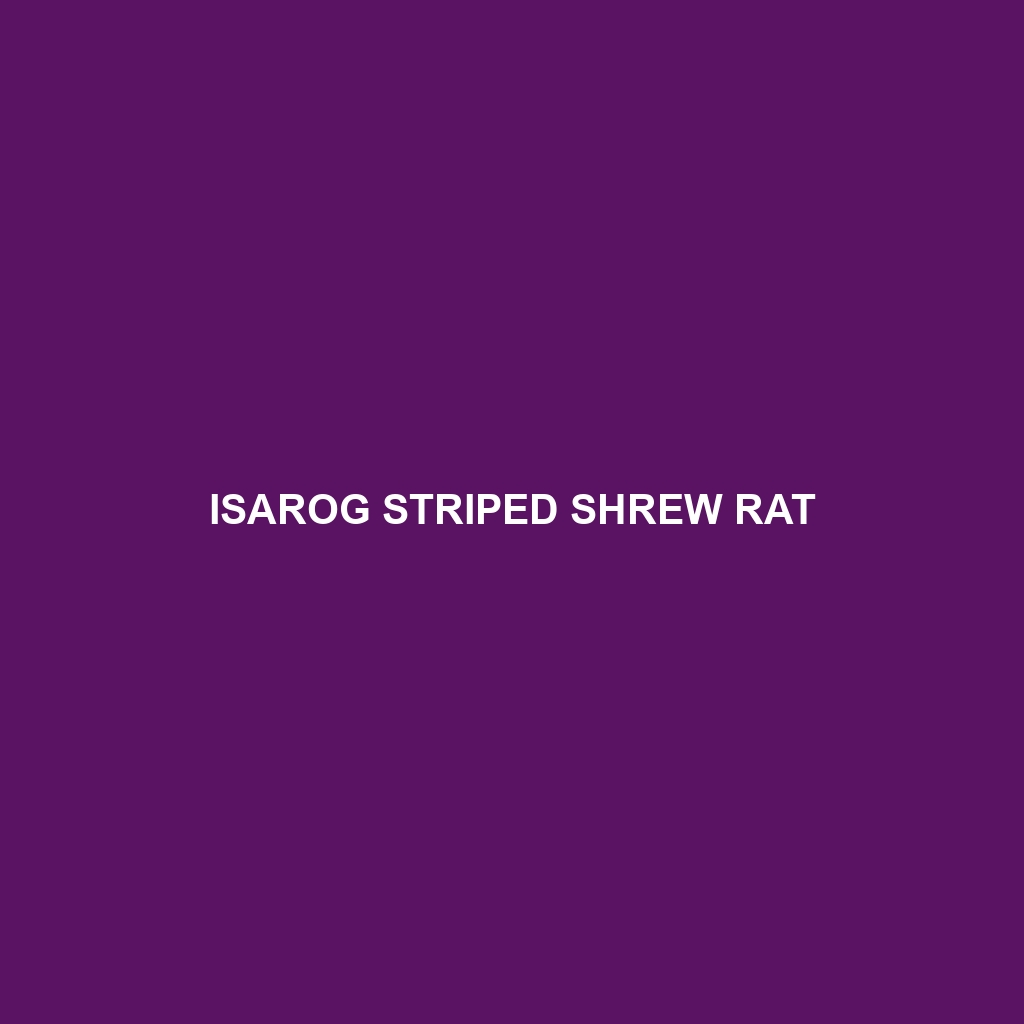 Isarog Striped Shrew Rat