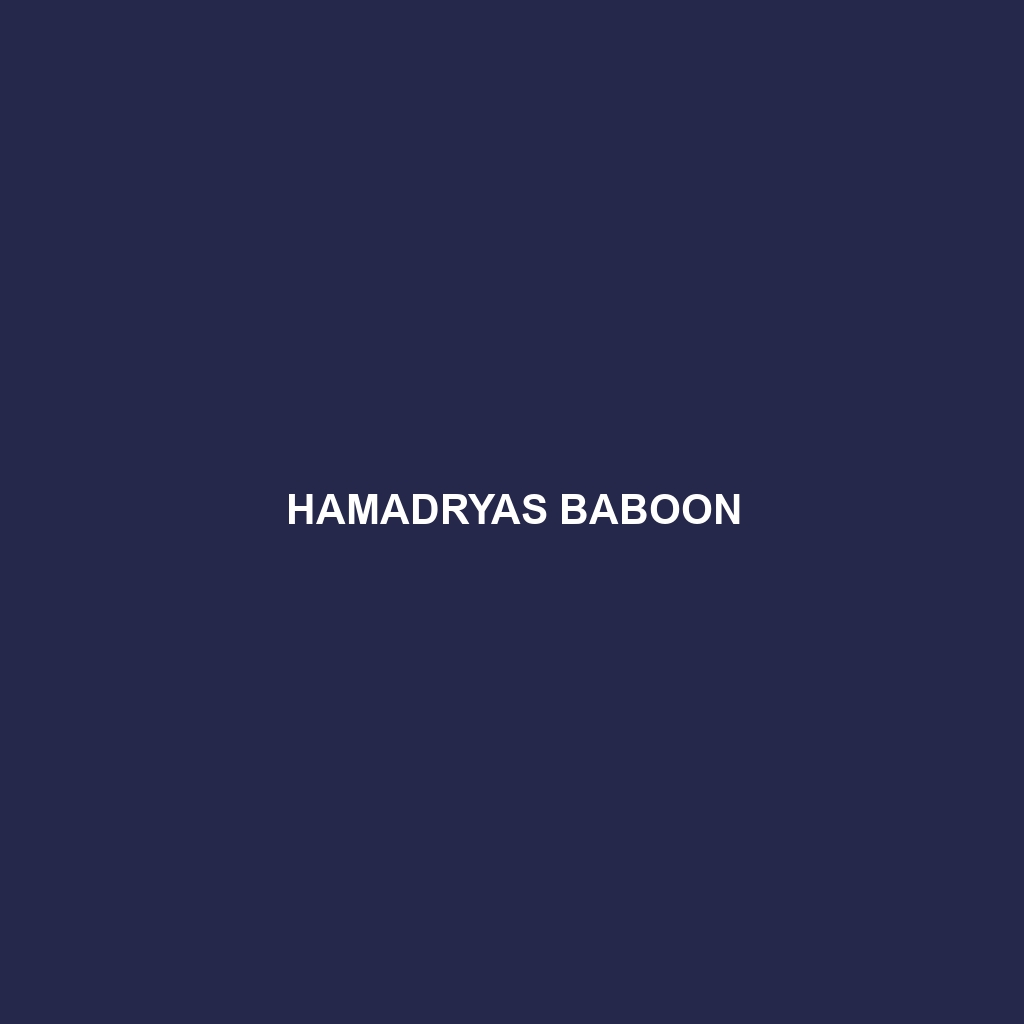 Hamadryas Baboon