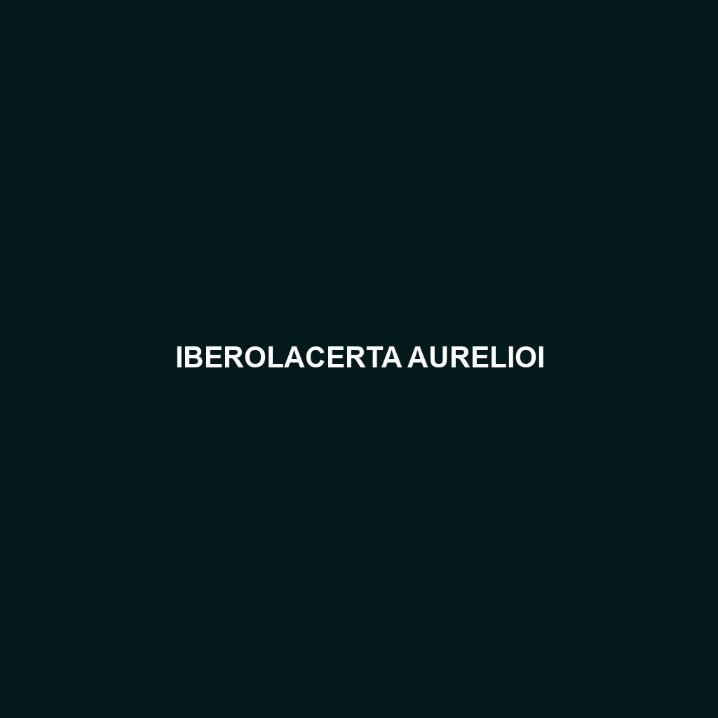 Iberolacerta aurelioi