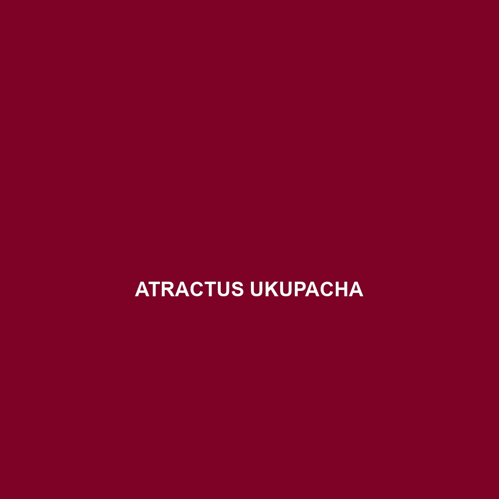 Atractus ukupacha