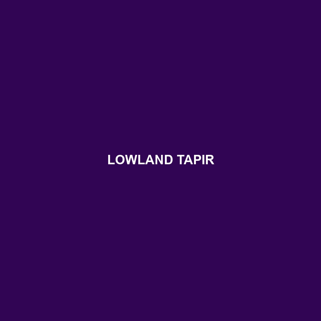 Lowland Tapir