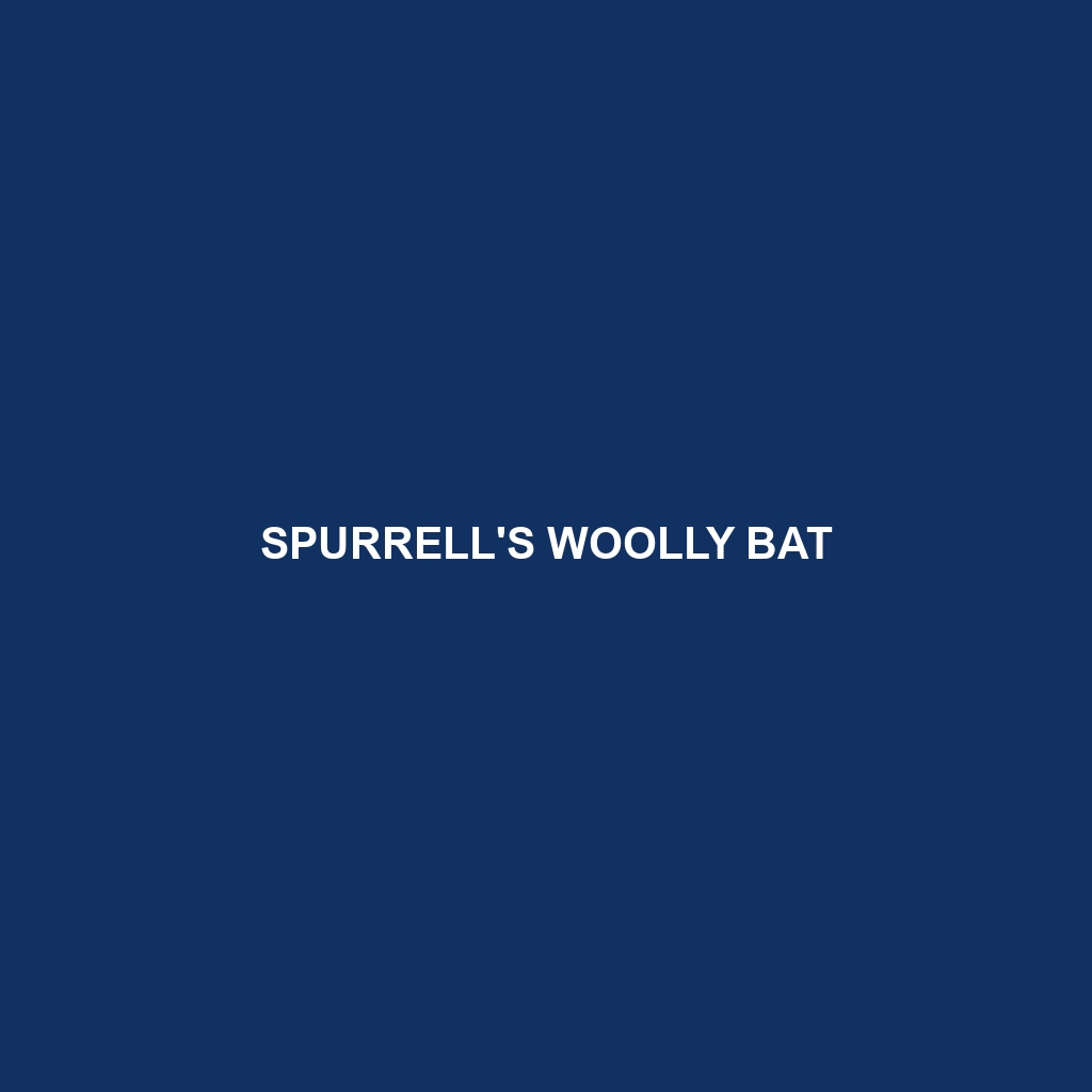 Spurrell's Woolly Bat