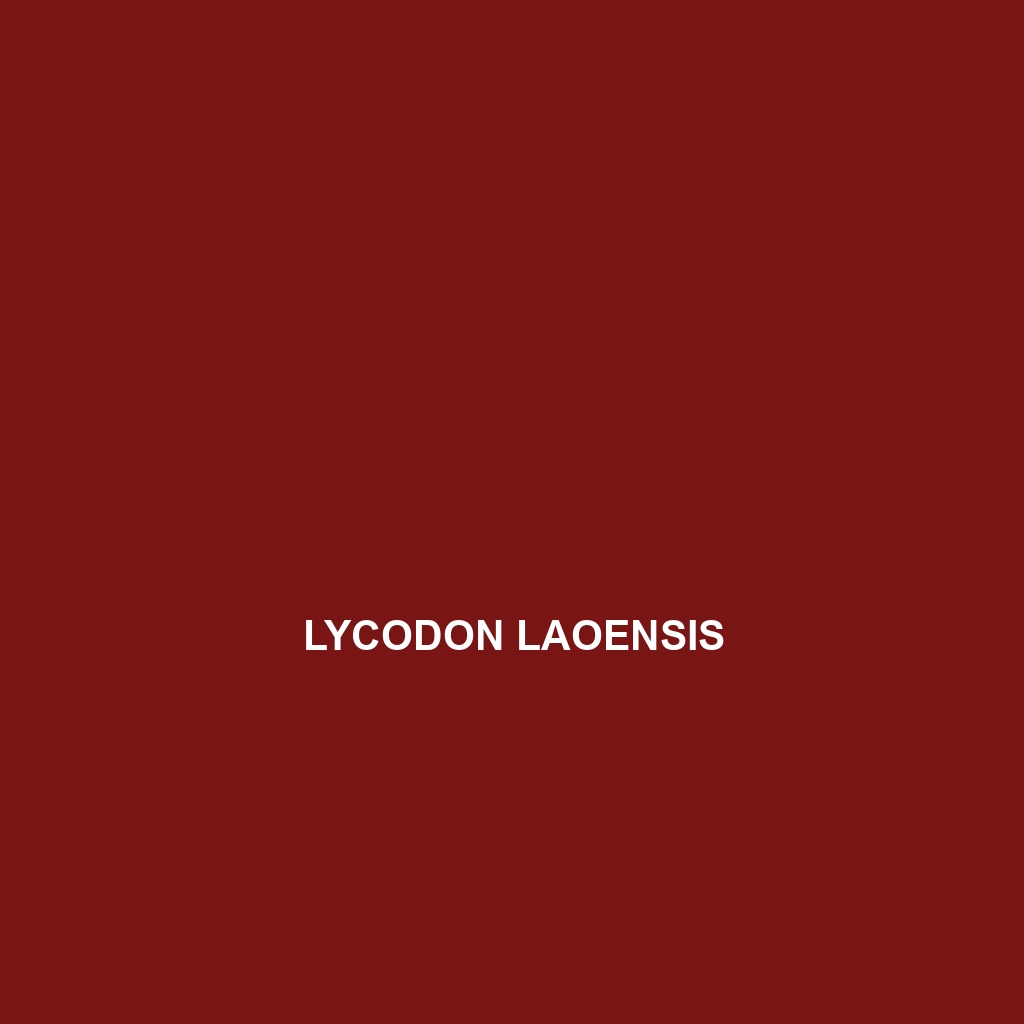 Lycodon laoensis