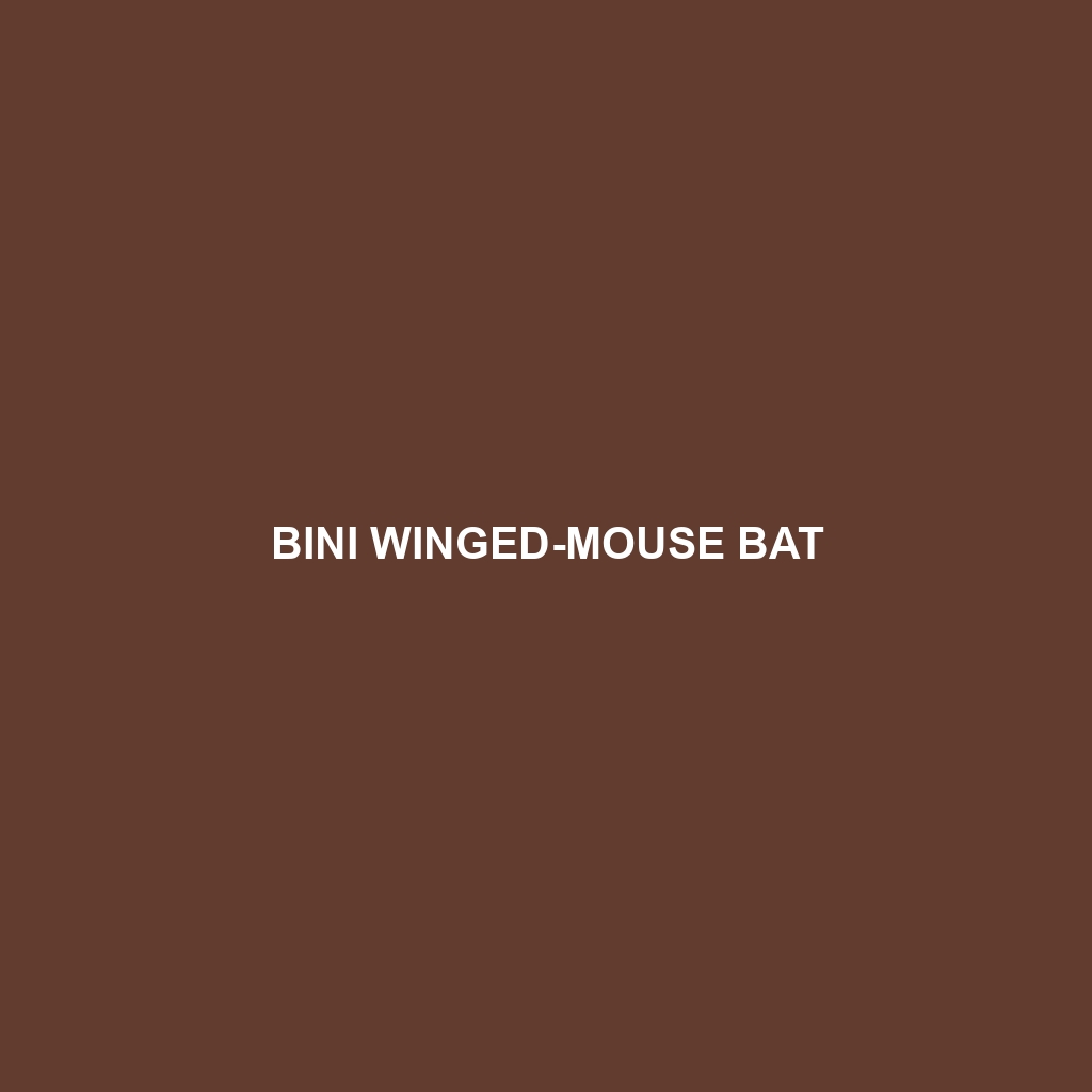 Bini Winged-mouse Bat