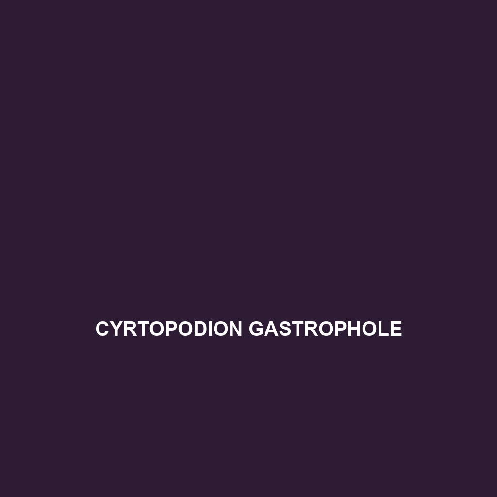 Cyrtopodion gastrophole