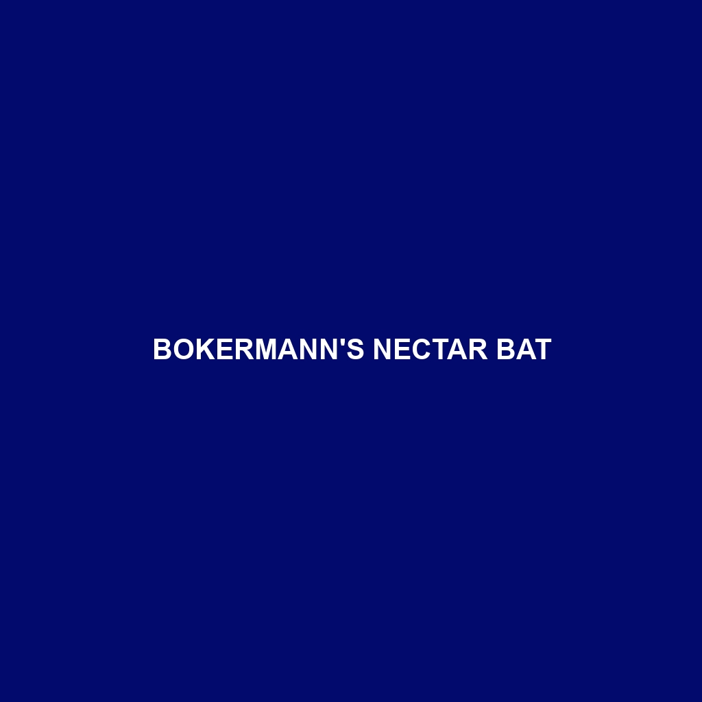 Bokermann's Nectar Bat