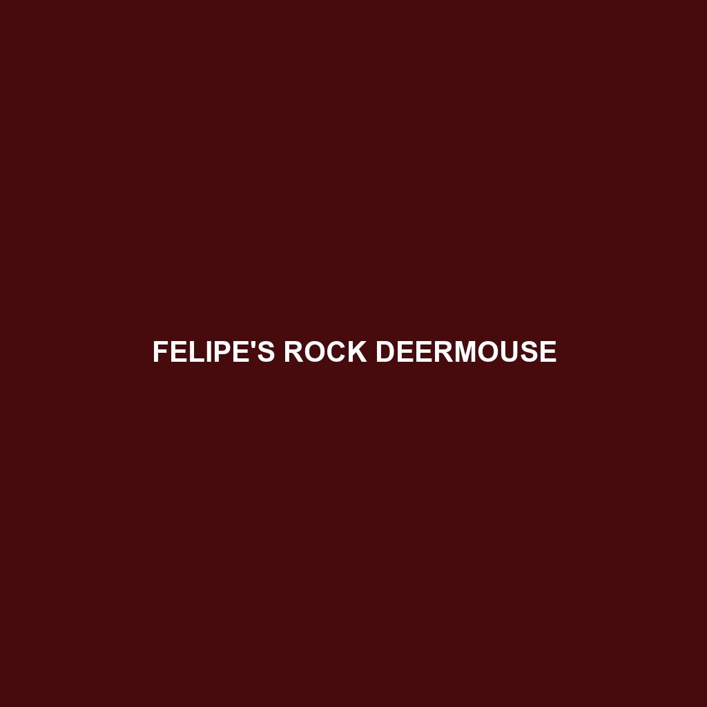 Felipe's Rock Deermouse