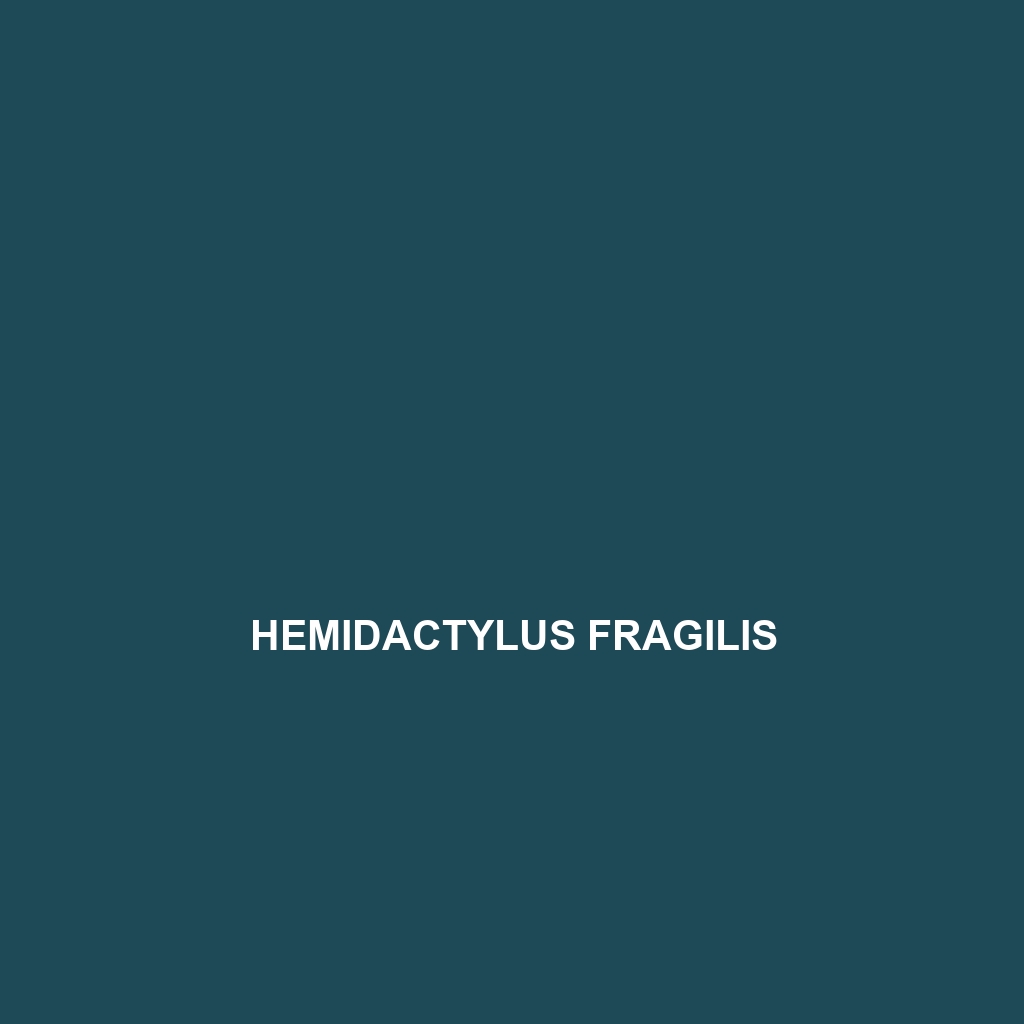 Hemidactylus fragilis