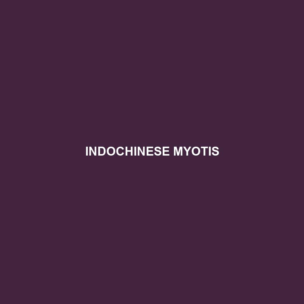 Indochinese Myotis