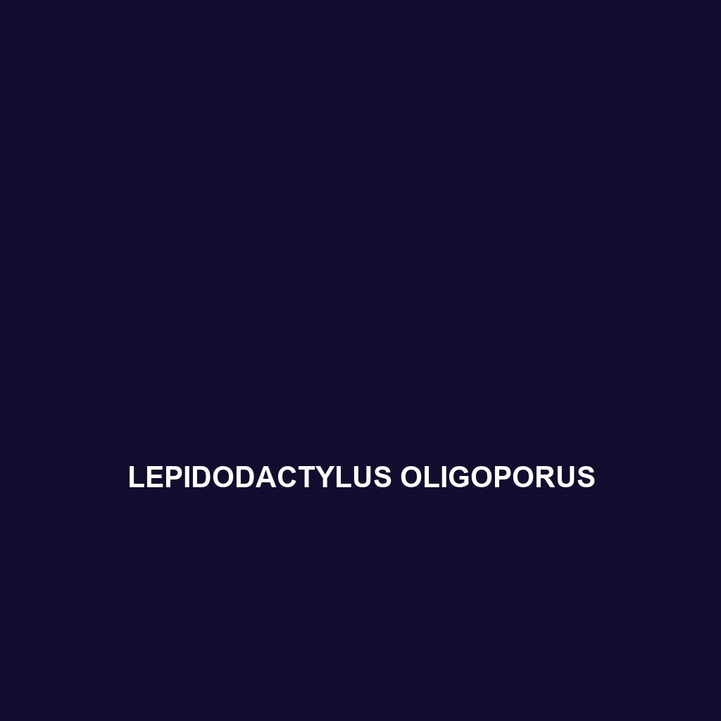 Lepidodactylus oligoporus