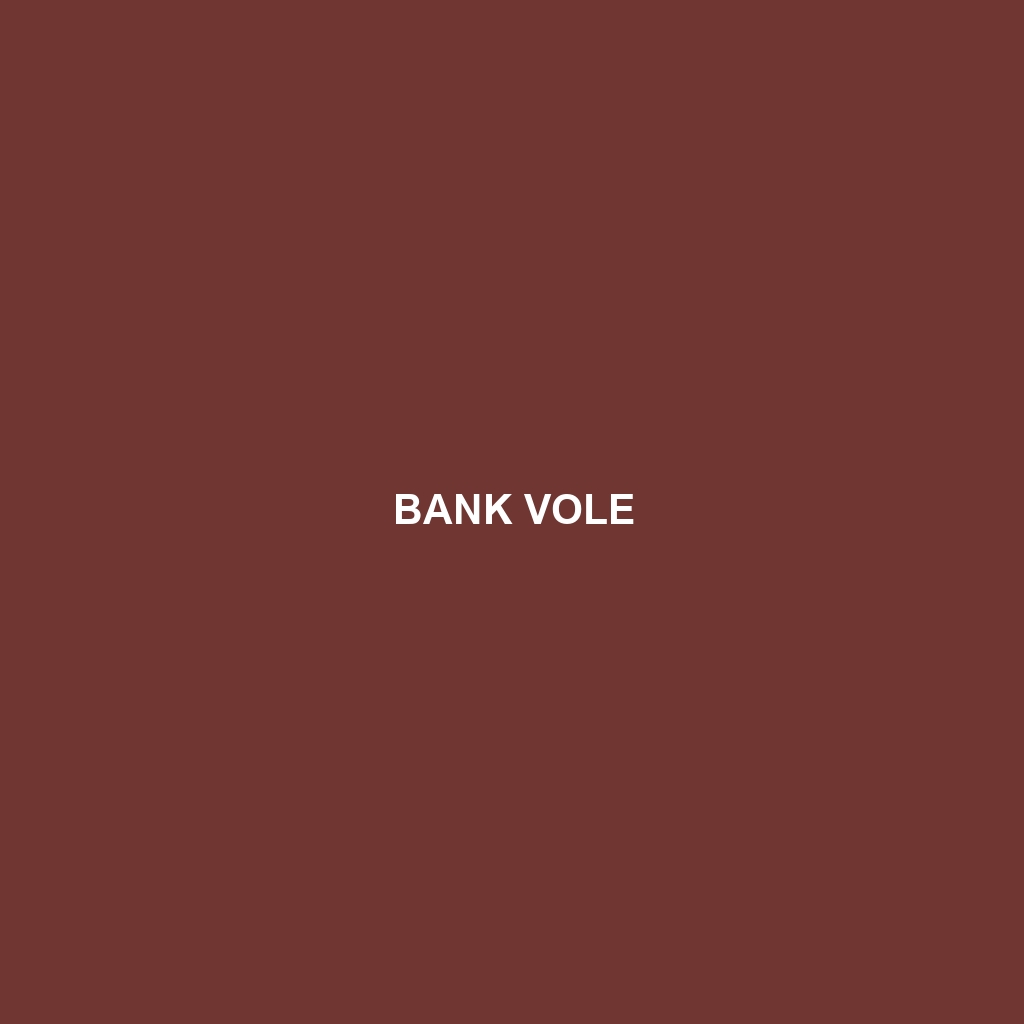 Bank Vole