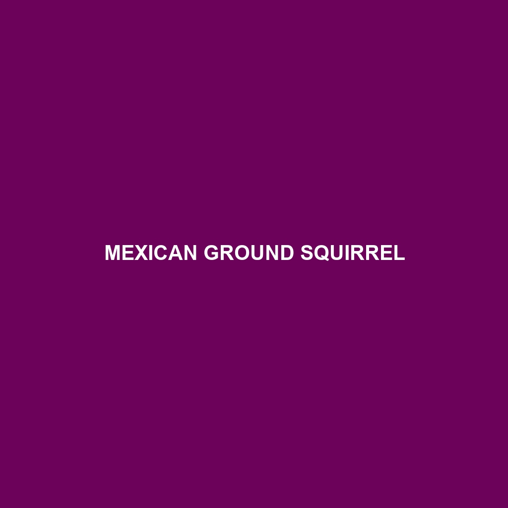 Mexican Ground Squirrel