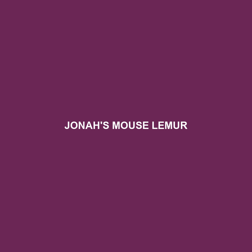 Jonah's Mouse Lemur