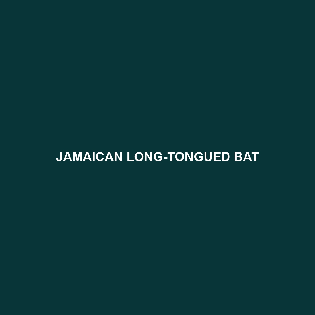 Jamaican Long-tongued Bat