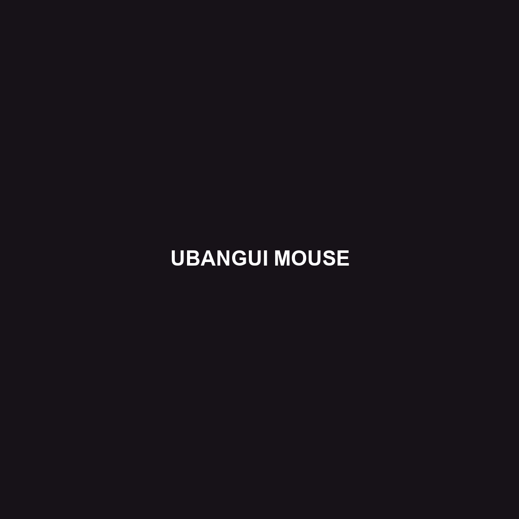 Ubangui Mouse