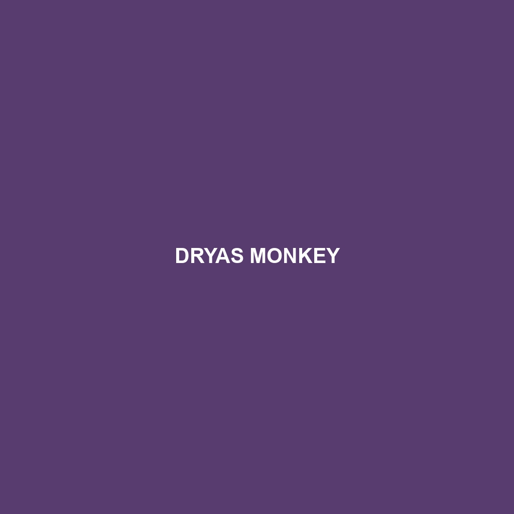 Dryas Monkey