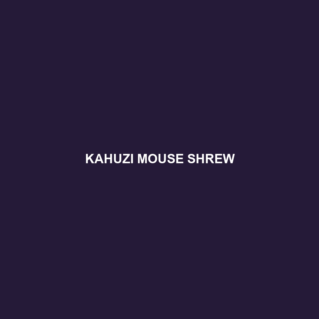 Kahuzi Mouse Shrew