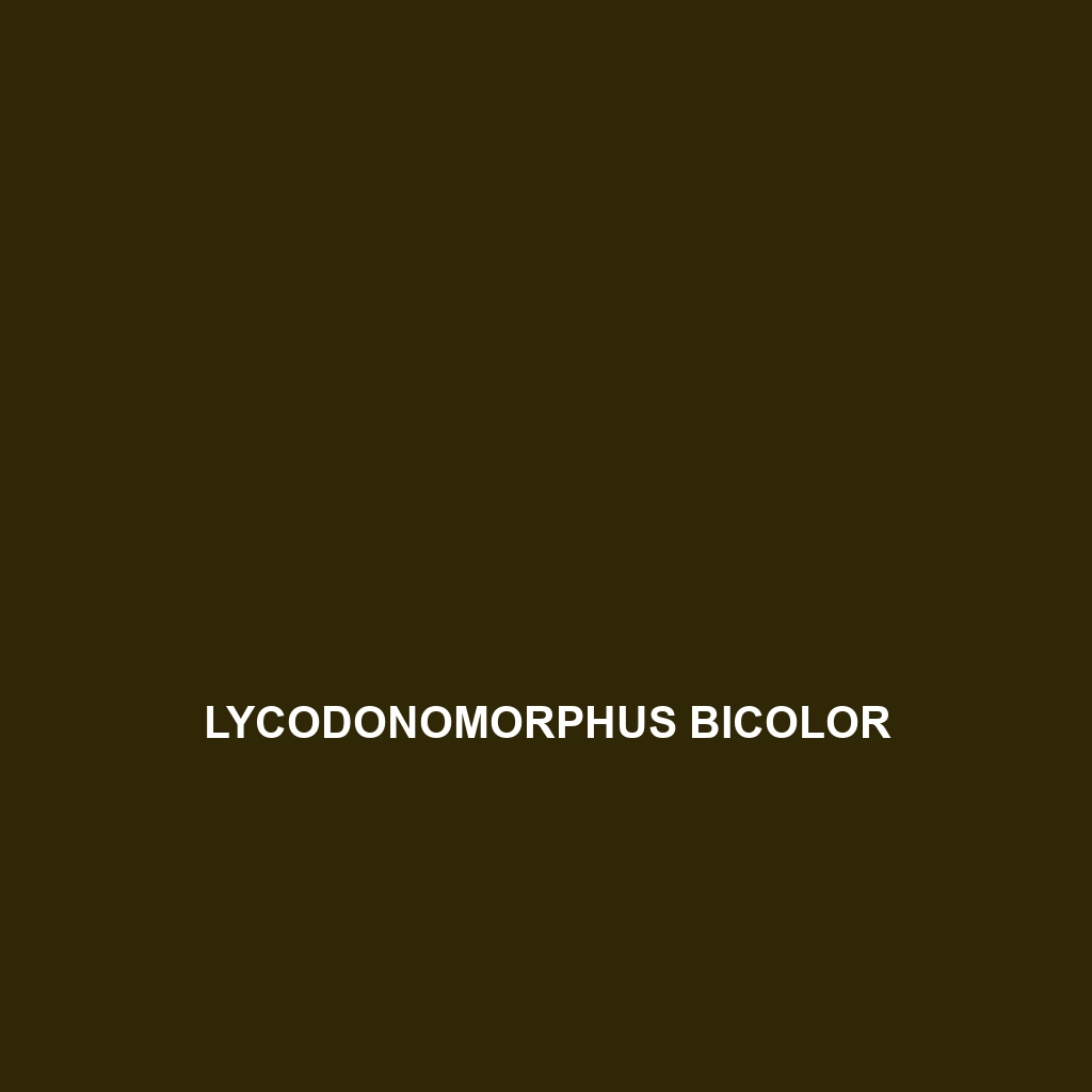 Lycodonomorphus bicolor