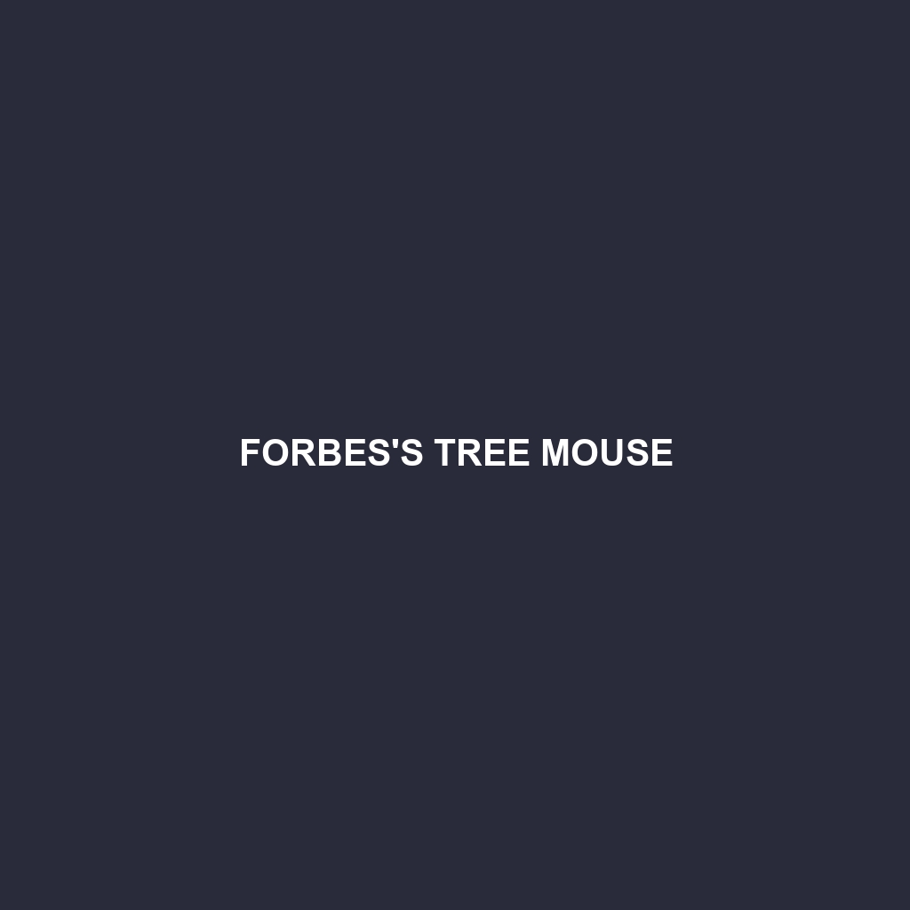 Forbes's Tree Mouse