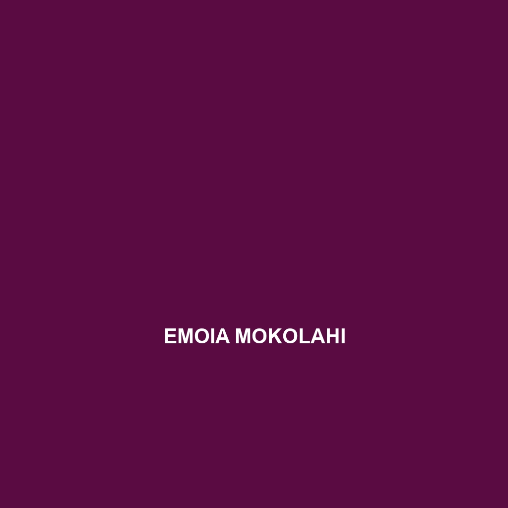 Emoia mokolahi