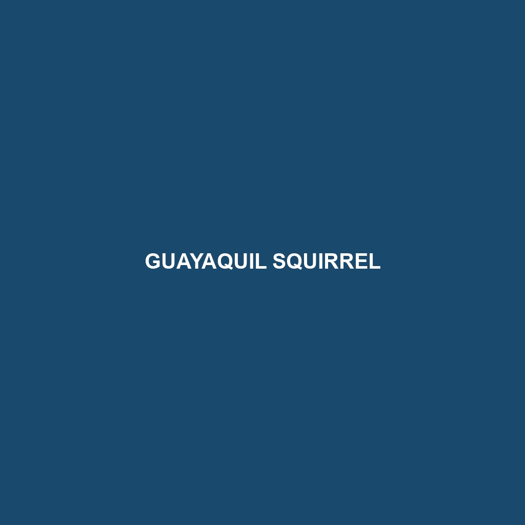 Guayaquil Squirrel