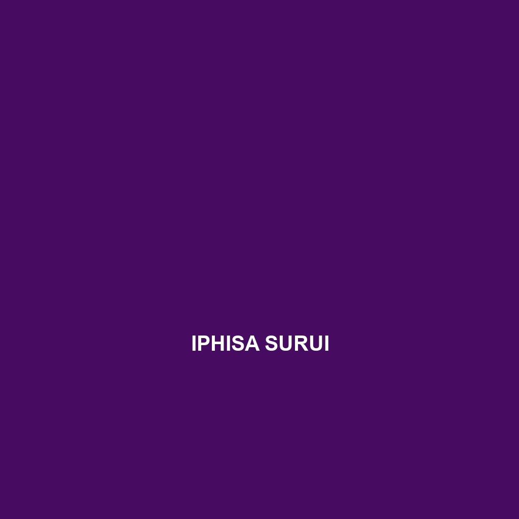 Iphisa surui