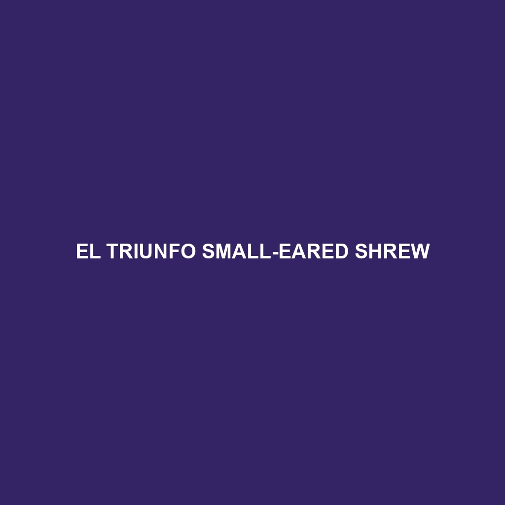 El Triunfo Small-eared Shrew