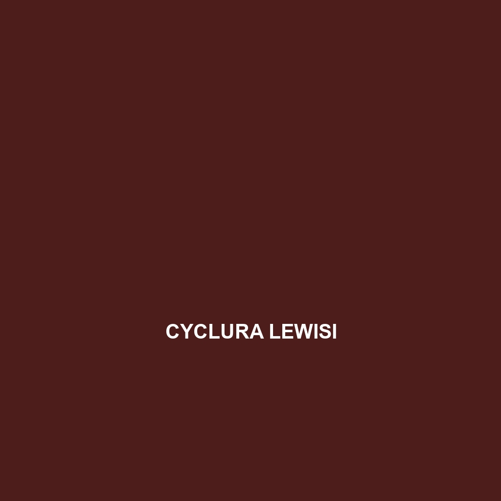 Cyclura lewisi