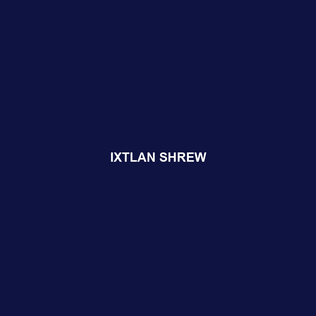 Ixtlan Shrew