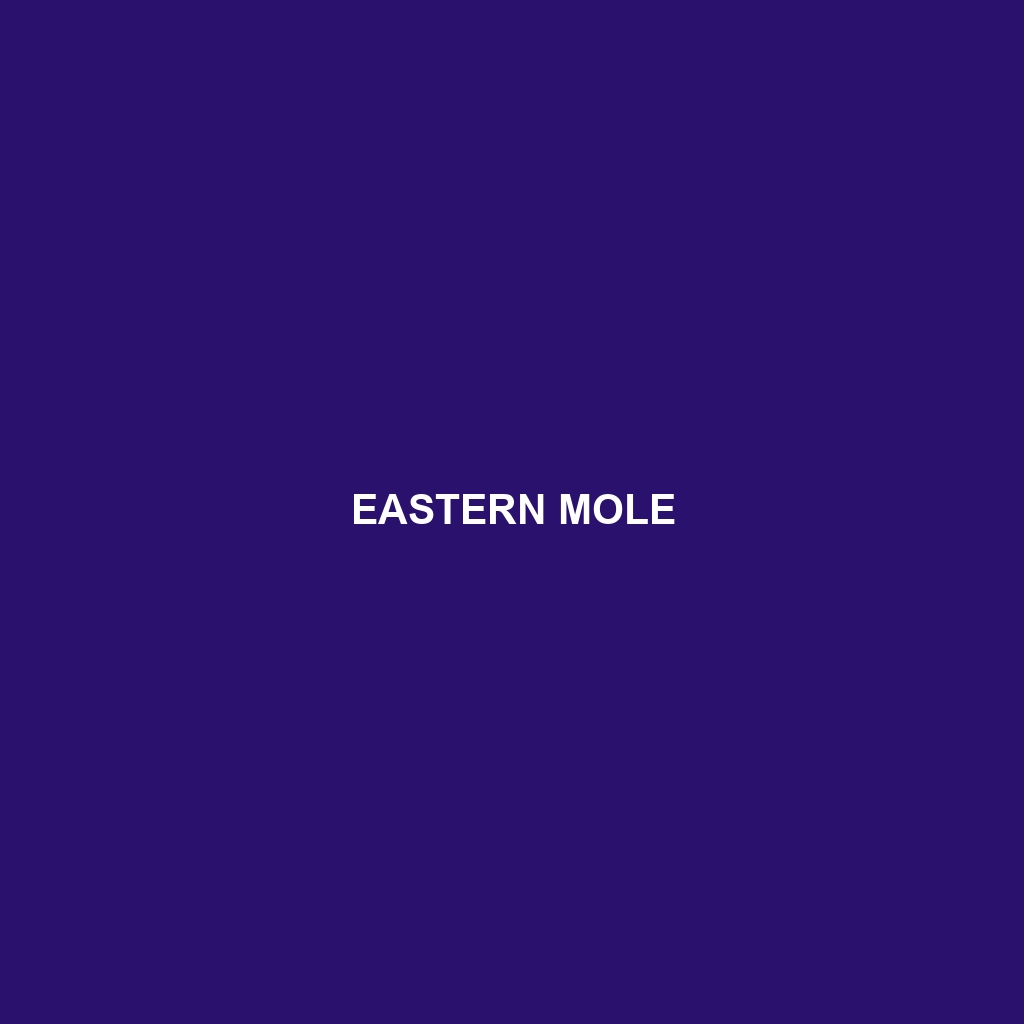 Eastern Mole