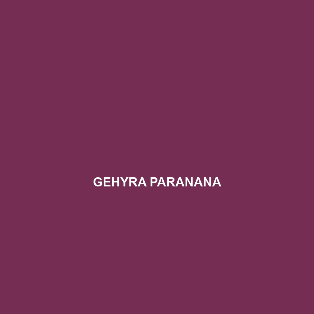 Gehyra paranana