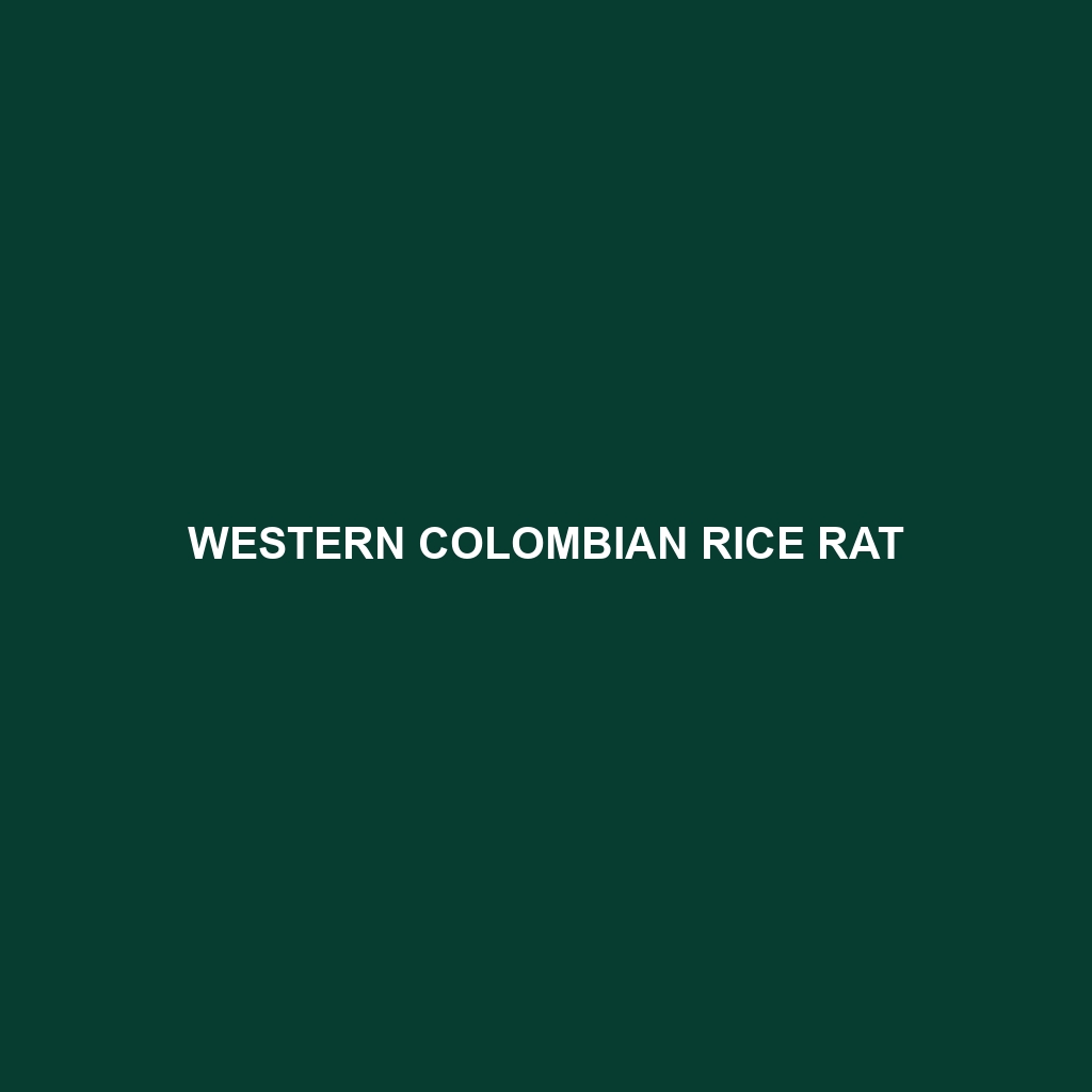 Western Colombian Rice Rat