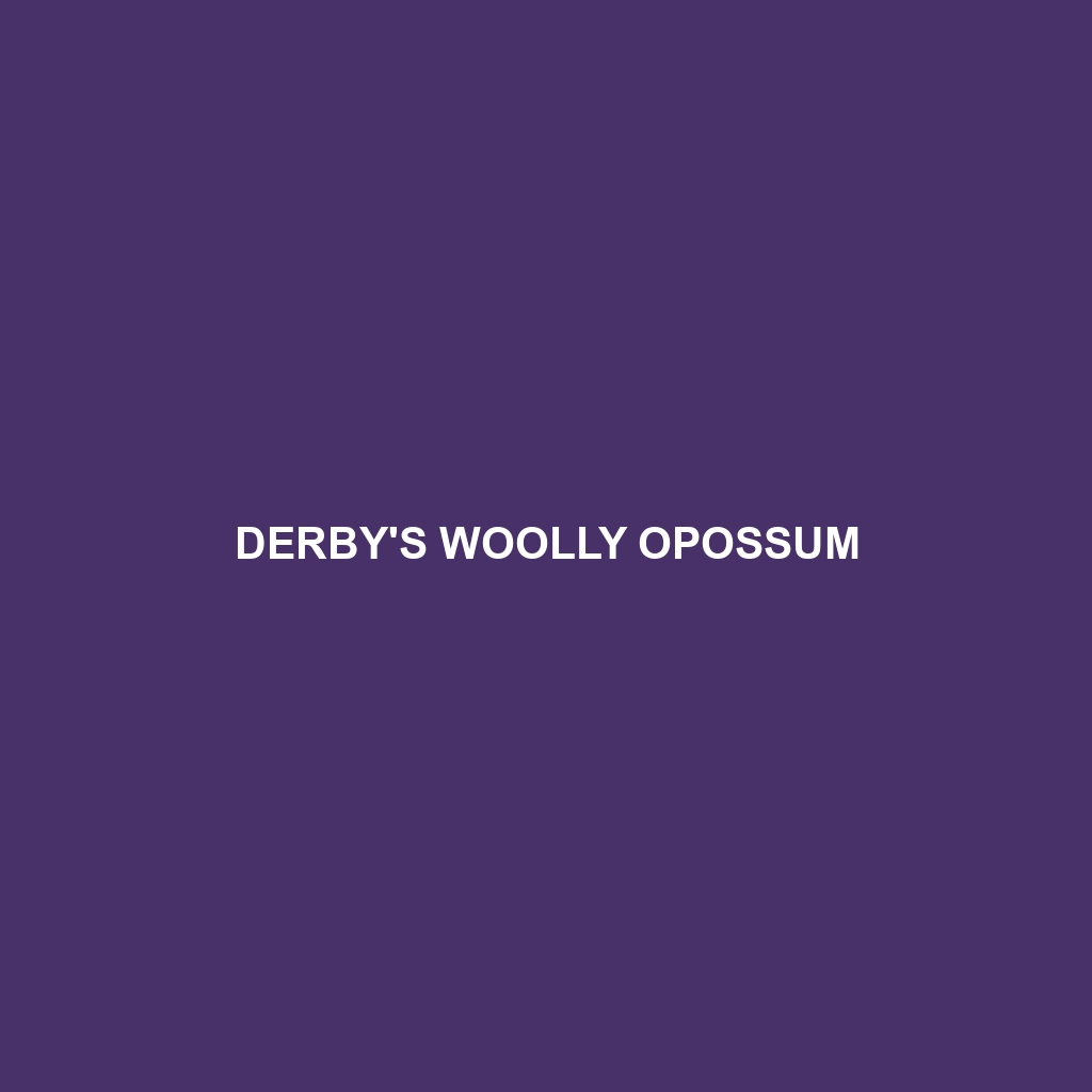 Derby's Woolly Opossum