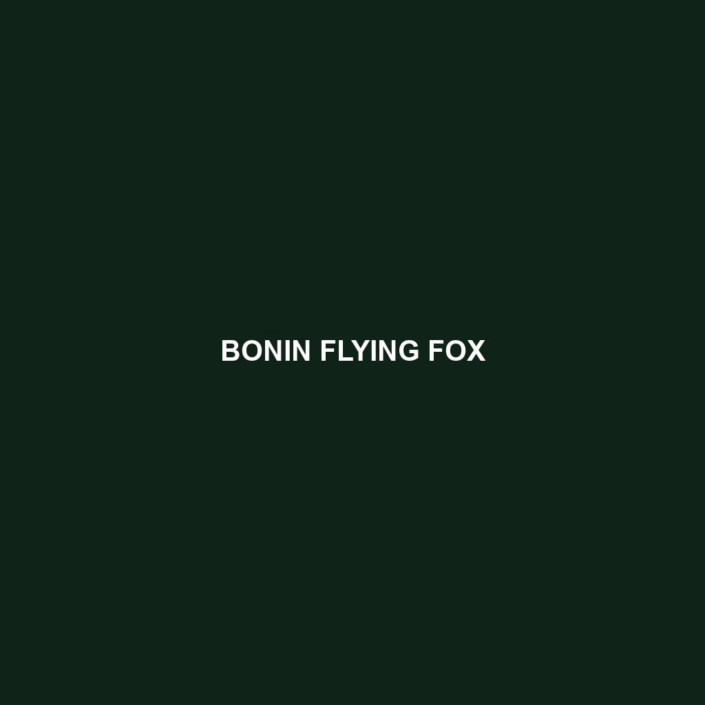 Bonin Flying Fox