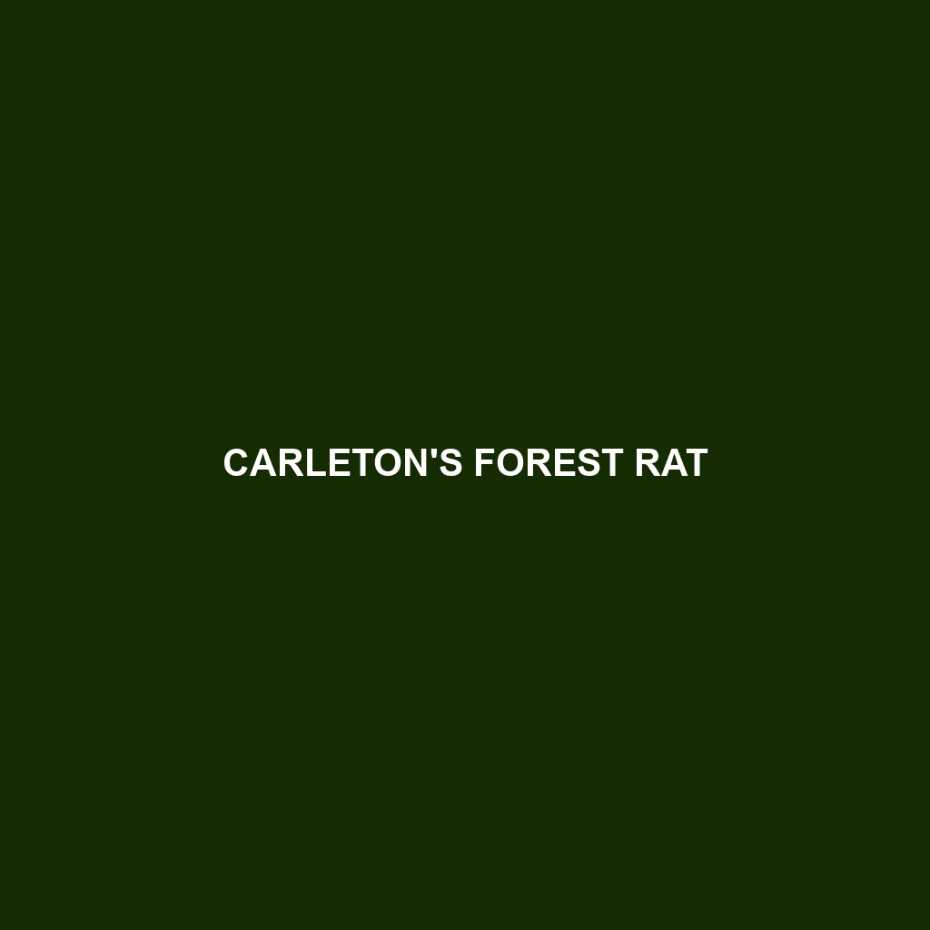 Carleton's Forest Rat