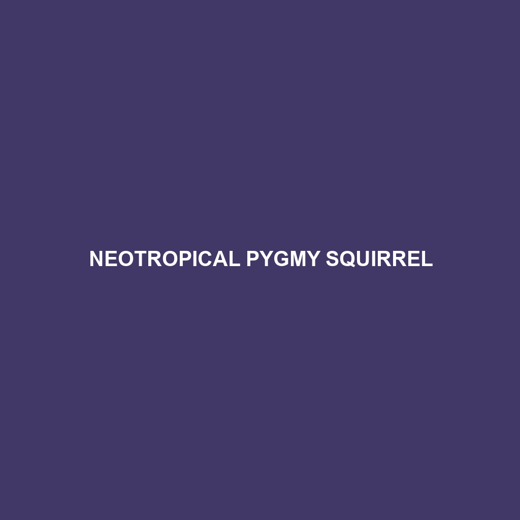 Neotropical Pygmy Squirrel