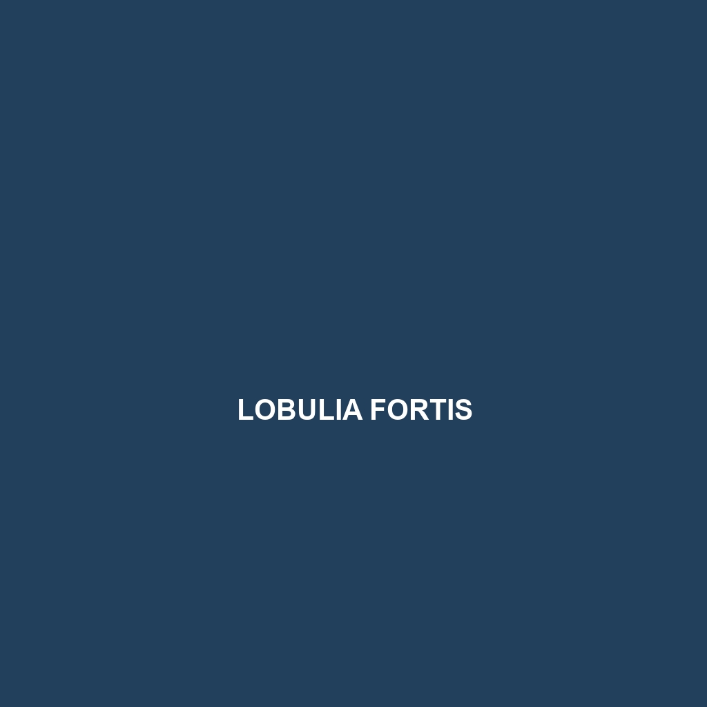 Lobulia fortis