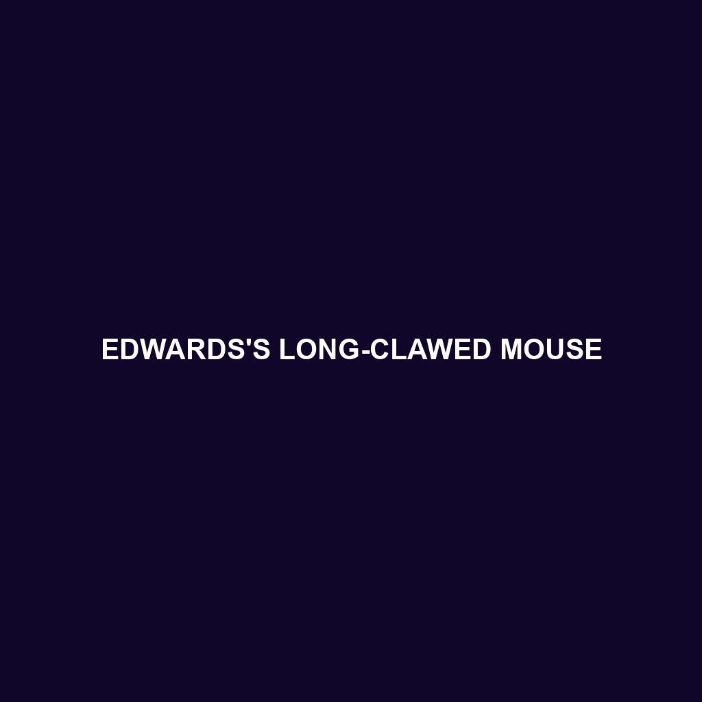 Edwards's Long-clawed Mouse